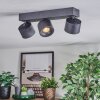 Narel Plafoniera, Faretto da soffitto LED Nero, 3-Luci
