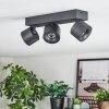 Narel Plafoniera, Faretto da soffitto LED Nero, 3-Luci