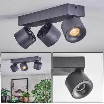 Narel Plafoniera, Faretto da soffitto LED Nero, 3-Luci