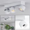 Narel Plafoniera, Faretto da soffitto LED Bianco, 3-Luci