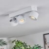 Narel Plafoniera, Faretto da soffitto LED Bianco, 3-Luci