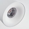 Narel Plafoniera, Faretto da soffitto LED Bianco, 3-Luci