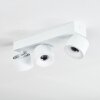 Narel Plafoniera, Faretto da soffitto LED Bianco, 3-Luci
