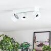 Narel Plafoniera, Faretto da soffitto LED Bianco, 3-Luci