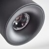 Narel Plafoniera, Faretto da soffitto LED Nero, 4-Luci
