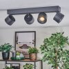Narel Plafoniera, Faretto da soffitto LED Nero, 4-Luci