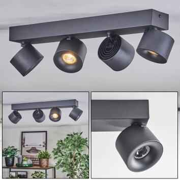 Narel Plafoniera, Faretto da soffitto LED Nero, 4-Luci