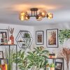 Chehalis Plafoniera, Lampada a sfera 55 cm Ambrato, 6-Luci