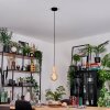 Sydan Lampadario a sospensione, Lampada a sospensione Écru, Nero, 1-Luce