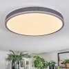 Salmi Plafoniera, Panel LED Grigio, Argento, 1-Luce, Telecomando