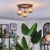 Chehalis Plafoniera, Lampada a sfera 30.5 cm Ambrato, 3-Luci