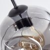 Ripoll Lampadario a sospensione, Lampada a sfera, Lampada a sospensione Chiaro, Grigio fumo, 6-Luci