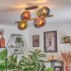 Koyoto Plafoniera, Lampada a sfera Oro, Nero, 8-Luci
