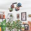 Koyoto Plafoniera, Lampada a sfera Oro, Nero, 8-Luci