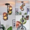 Gastor Plafoniera, Lampada a sfera 32 cm Blu, Cromo, Verde, Chiaro, Ramato, Grigio fumo, 4-Luci