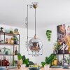 Ripoll Lampadario a sospensione, Lampada a sfera, Lampada a sospensione Oro, 1-Luce