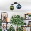 Gastor Plafoniera, Lampada a sfera Blu, Verde, 2-Luci