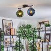 Gastor Plafoniera, Lampada a sfera Blu, Verde, 2-Luci