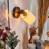 Fallhagen Applique, Faretto da parete Nero, 1-Luce