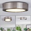 Tavin Plafoniera LED Nichel opaco, 1-Luce