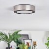 Tavin Plafoniera LED Nichel opaco, 1-Luce