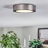 Tavin Plafoniera LED Nichel opaco, 1-Luce