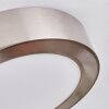 Tavin Plafoniera LED Nichel opaco, 1-Luce