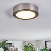 Tavin Plafoniera LED Nichel opaco, 1-Luce