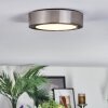 Tavin Plafoniera LED Nichel opaco, 1-Luce
