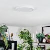 Finsrud Plafoniera, Panel LED Bianco, 1-Luce