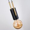 Veria Lampadario a sospensione, Lampada a sospensione Ottone, Nero, 4-Luci