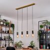 Veria Lampadario a sospensione, Lampada a sospensione Ottone, Nero, 4-Luci