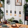 Veria Lampadario a sospensione, Lampada a sospensione Ottone, Nero, 4-Luci