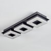 Walon Plafoniera LED Nero, 1-Luce