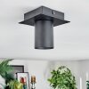 Udena Plafoniera LED Nero, 1-Luce