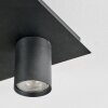 Udena Plafoniera LED Nero, 4-Luci