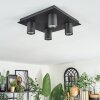 Udena Plafoniera LED Nero, 4-Luci
