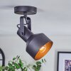 Tylar Plafoniera, Faretto da soffitto Nero, 1-Luce