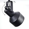 Tylar Plafoniera, Faretto da soffitto Nero, 1-Luce