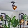 Tylar Plafoniera, Faretto da soffitto Nero, 1-Luce