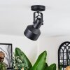 Tylar Plafoniera, Faretto da soffitto Nero, 1-Luce