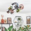 Gastor Plafoniera, Lampada a sfera Blu, Cromo, Verde, Chiaro, Ramato, Grigio fumo, 8-Luci