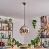 Ripoll Lampadario a sospensione, Lampada a sfera, Lampada a sospensione Oro, 1-Luce