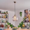 Koyoto Lampadario a sospensione, Lampada a sfera, Lampada a sospensione Oro, 1-Luce Koyoto Lampadario a sospensione, Lampada a sfera, Lampada a sospensione Oro, 1-Luce