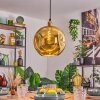 Ripoll Lampadario a sospensione, Lampada a sfera, Lampada a sospensione Oro, 1-Luce