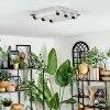 Zamar Plafoniera LED Cromo, 3-Luci