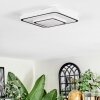 Borin Plafoniera LED Grigio, Bianco, 1-Luce