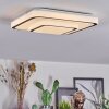 Borin Plafoniera LED Grigio, Bianco, 1-Luce