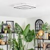 Borin Plafoniera LED Grigio, Bianco, 1-Luce