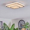 Borin Plafoniera LED Grigio, Bianco, 1-Luce